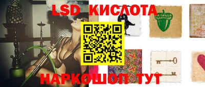 PSILOCYBIN Бугуруслан