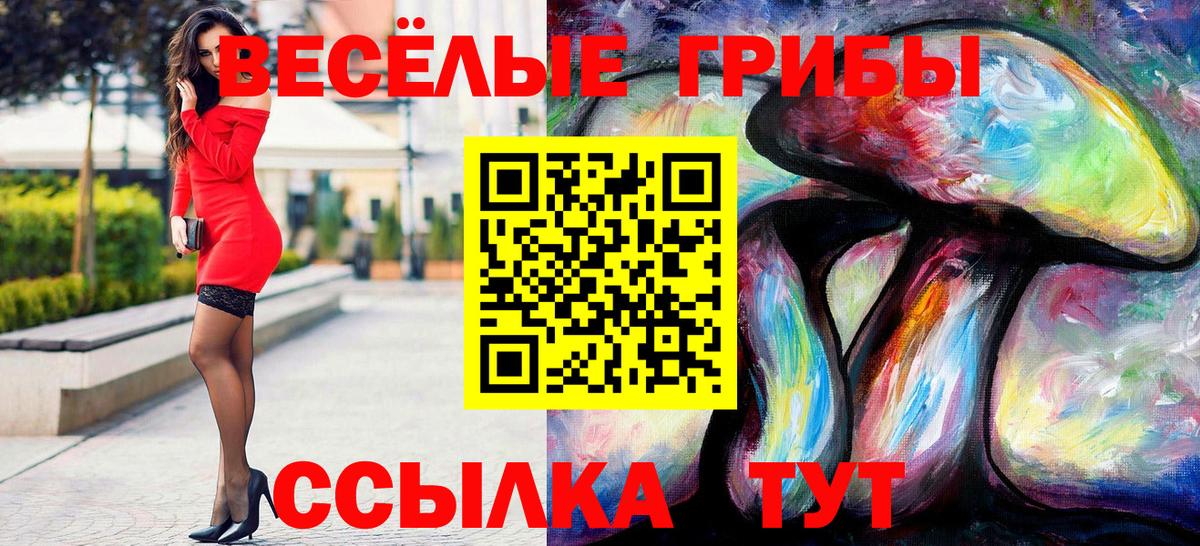 Галлюциногенные грибы ЛСД  Вход с VPN  Находка 